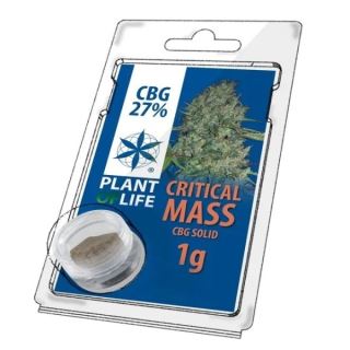 17755 - Solid 27% CBG Critical Mass 1 gr. Plant of Life