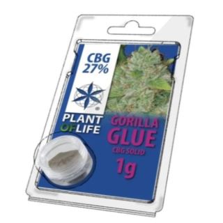 17757 - Solid 27% CBG Gorilla Glue 1 gr. Plant of Life