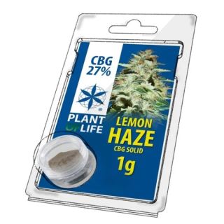 17760 - Solid 27% CBG Lemon Haze 1 gr. Plant of Life