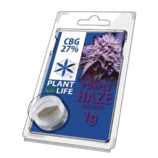 17764 - Solid 27% CBG Purple Haze 1 gr. Plant of Life