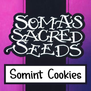 7765 - Somint Cookies  5 u. fem. Soma Seeds