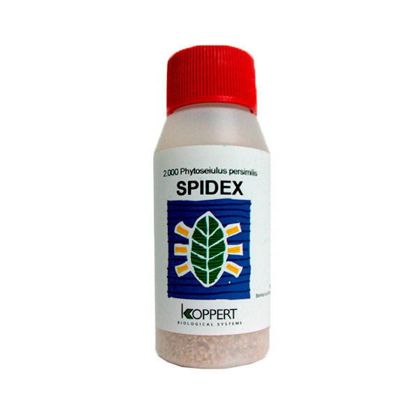 Spidex Phytoseiulus 10.000 Araña Roja