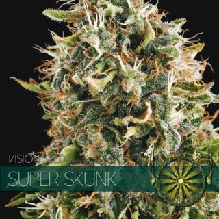 9230 - Super Skunk 3+1 u. fem. Vision Seeds