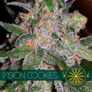 10600 - Vision Cookies 3 u. fem. Vision Seeds