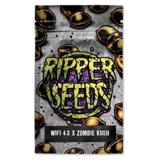 14379 - Wifi 43 x Zombie Kush 3 u. fem. Ed. Lim. Ripper Seeds