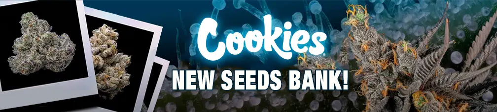 Cookies Seed Bank