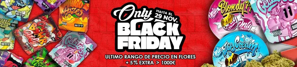 Black friday